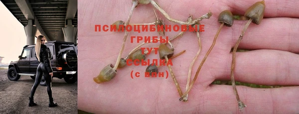 наркотики Алзамай