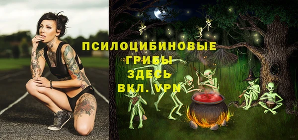 спиды Алексеевка