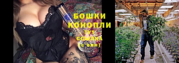 спиды Алексеевка