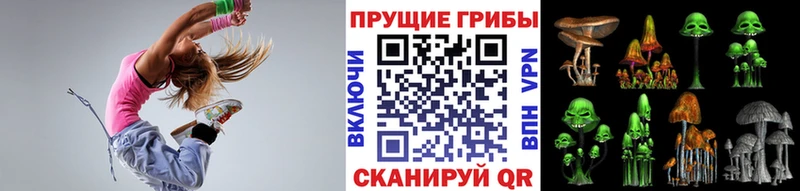 Галлюциногенные грибы мицелий  купить  сайты  Владивосток 