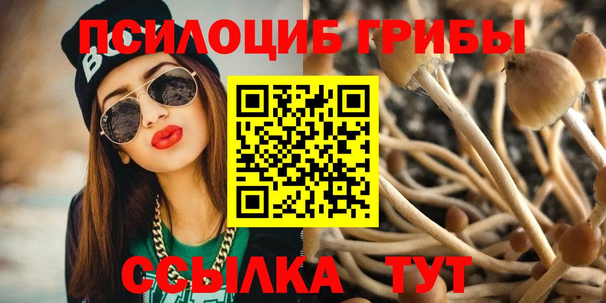 Псилоцибиновые грибы ЛСД Владивосток