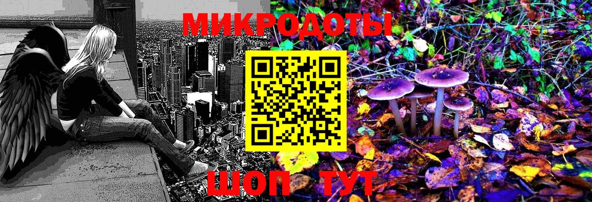Галлюциногенные грибы Psilocybe  Вход с VPN  Владивосток 
